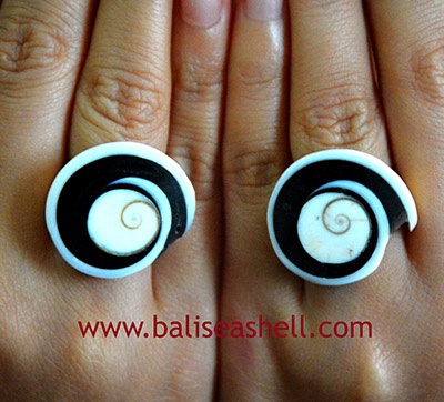 Natural Ring Conus Shell