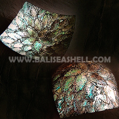 bowl shell and seashell pearl