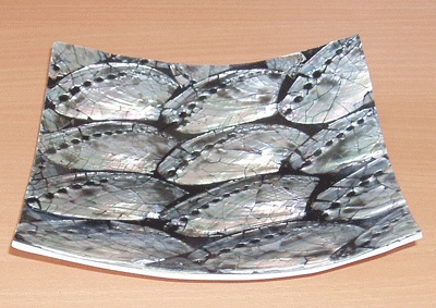 plate abalone