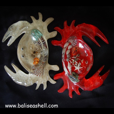 shell disc art crafts with receine