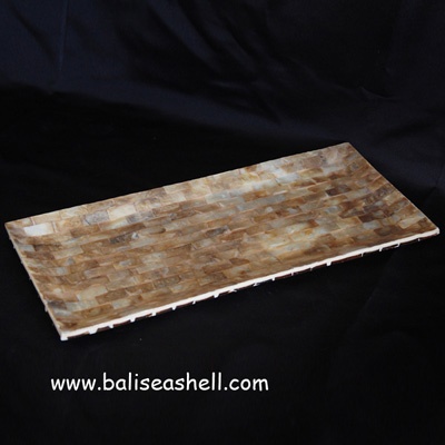 tableware art crafts trey shell capis