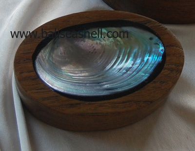 soup shell disc river and sono wood