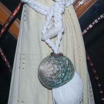 tesel shell tectus natural