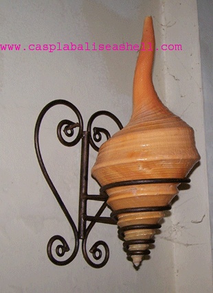 seashell lamp srynq uranus twin