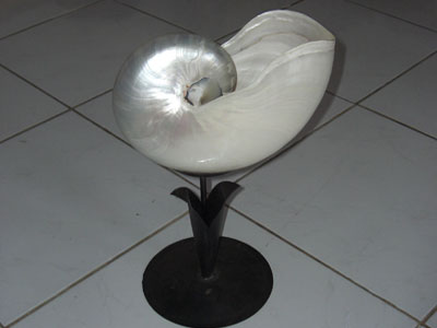 we can,t sell anymore