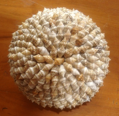 seashell ball