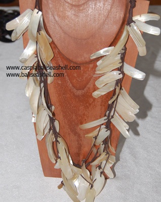 necklace shell and seashell