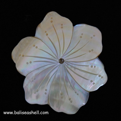 SHELL Bross