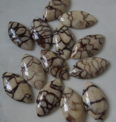 white coral cut form surfer