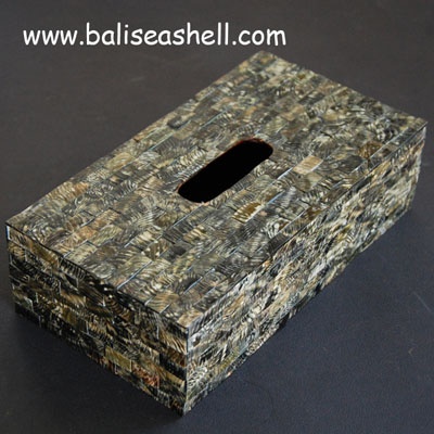darke pearl shell tisue box