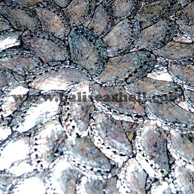 abalone shell mosaic for wall tiles