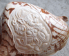 cymbiola carving style Ganesha Ornament