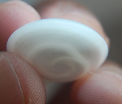 natural pearl from nautilus shell