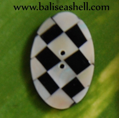 shell button from nautilus pearle