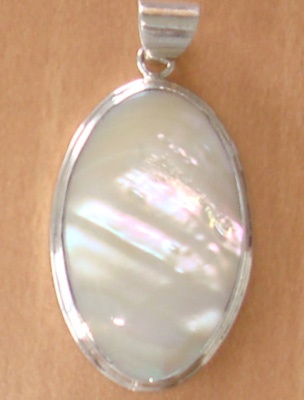 Turbo Shell Pendants
